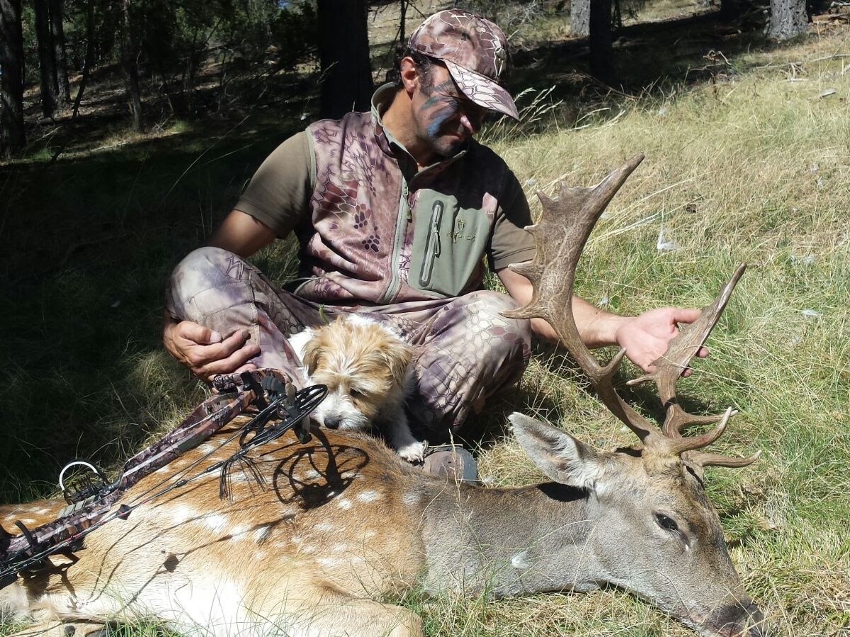 CAZAR CON ARCO: EJERCICIO DE&nbsp;RESPONSABILIDAD